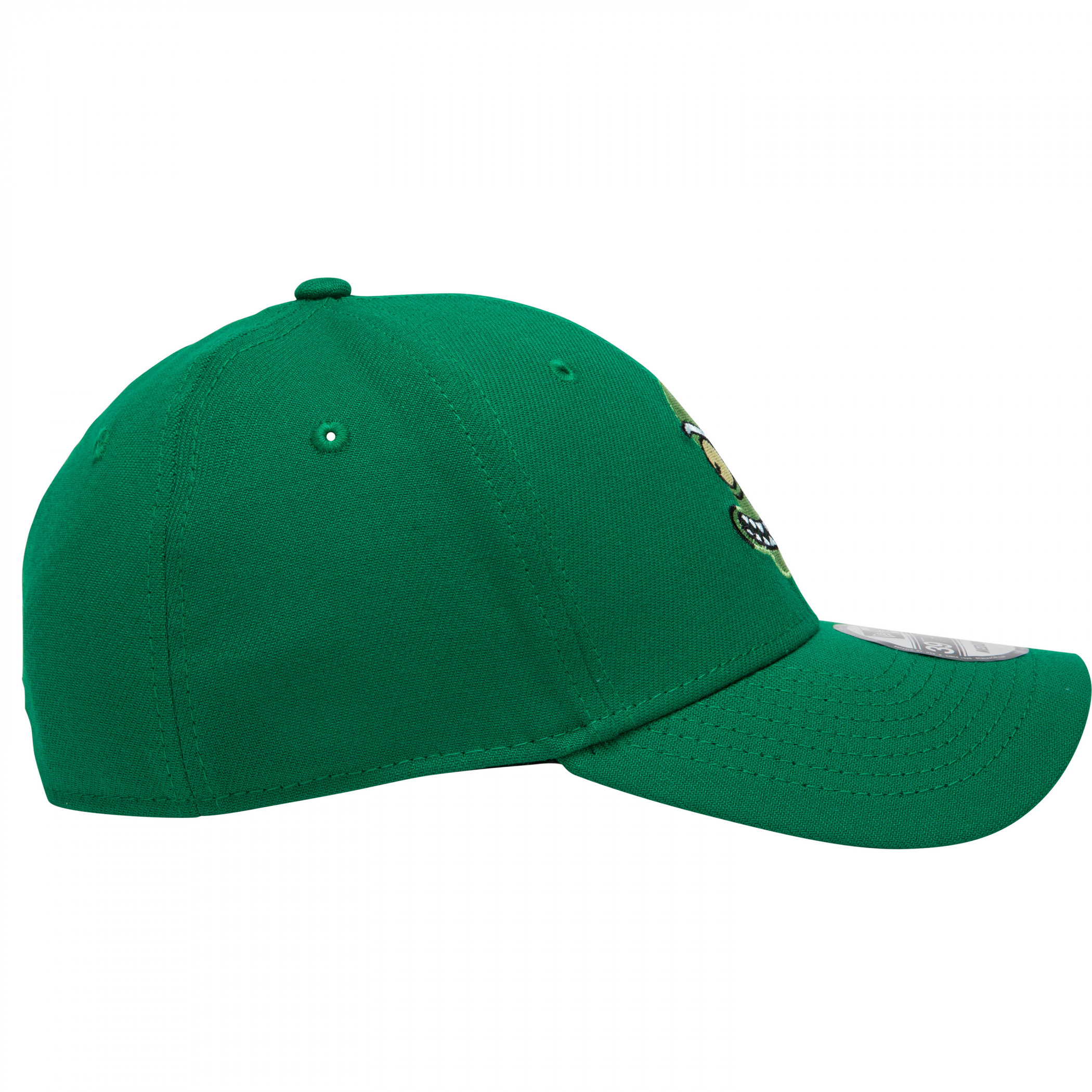 Teenage Mutant Ninja Turtles 90's Logo 39Thirty Fitted Hat Green
